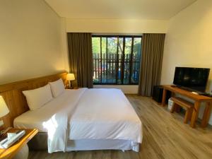 Habitación de hotel con cama y TV en The fairy land - Lala Mountain, en Fuxing