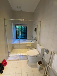 a bathroom with a shower and a toilet and a tub at The fairy land - Lala Mountain in Fuxing