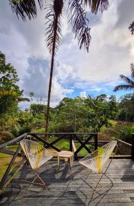 2 chaises et une table sur une terrasse avec un palmier dans l'établissement Entreselvas Glamping, à Quibdó