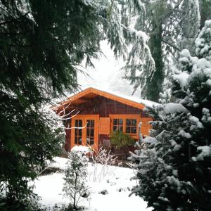 una pequeña cabaña en la nieve con árboles y nieve en Bed En - of zonder - Breakfast Putten en Putten