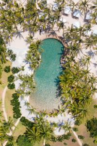 Billionaire Resort & Retreat Malindi في ماليندي: إطلالة علوية على مسبح تحيط به أشجار النخيل