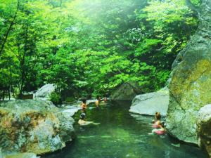 a group of people swimming in a river with rocks at ゲストハウス「古民家の宿梨本軒」 in Takai