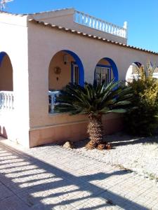 ein Haus mit einer Palme davor in der Unterkunft Villa Nobotha in Mazarrón