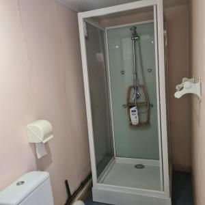 een douche met een glazen deur in een badkamer bij Gîte du Moulin de la Roque in Castels +9 foto's