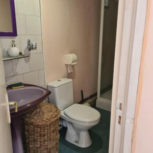 een badkamer met toilet en wastafel bij Gîte du Moulin de la Roque in Castels