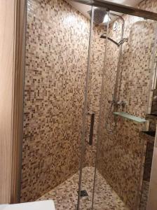 a shower with a glass door in a bathroom at Chamonix Hyper centre . terrasse vue mont blanc . parking in Chamonix