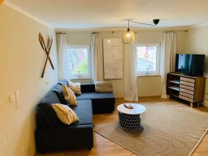 a living room with a couch and a tv at Haus am See in Muhr amSee