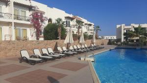 a row of chairs and umbrellas next to a swimming pool at Logaina Sharm Resort in Sharm El Sheikh