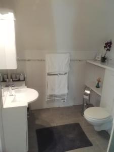 a white bathroom with a toilet and a sink at Bellevue Josselin in Josselin