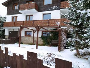Apartment Harrachov - Riesengebirge 2400 v zime