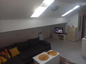 a living room with a couch and a tv at Apartman Sky Banja Vrujci in Gornja Toplica