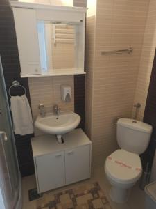 a small bathroom with a toilet and a sink at Apartman Sky Banja Vrujci in Gornja Toplica