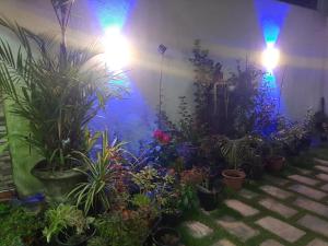 Giardino di Abinu"s Place