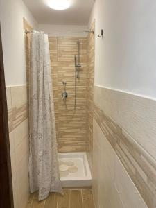 y baño con ducha y cortina de ducha. en LA CASA DEL BORGO, en Campoli Appennino