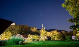 um jardim à noite com as estrelas no céu em Rucatalca Bed and Breakfast em Nancagua