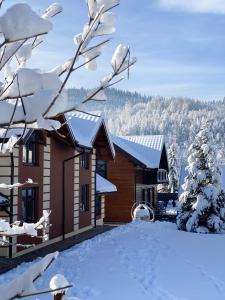 Hostynnyy Dvir Apartament Hotel & SPA v zimě
