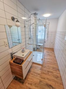 ein Bad mit einem Waschbecken und einer Glasdusche in der Unterkunft Apartment in Herrenhaus Groß Pinnow in Groß Pinnow