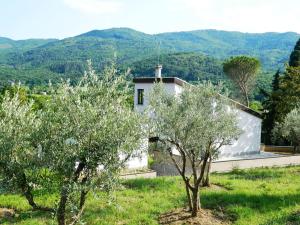 una casa blanca en un campo con árboles en Il Poggetto Moon Light Home Stay en Arezzo