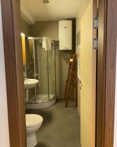 A bathroom at Brzece Apartman 23