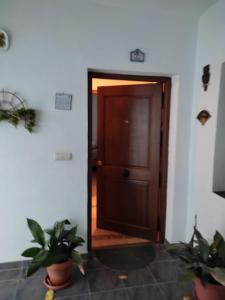 uma porta de madeira num quarto com dois vasos de plantas em CASA ALBA E IRENE em Bubión