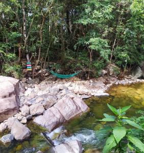 un hamac suspendu au-dessus d'une rivière dans une forêt dans l'établissement Pousada Alto Caparaó, à Caparaó Velho