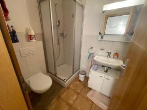 a bathroom with a shower and a toilet and a sink at Studio romantique vue sur camping in Saxon