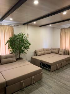 Ruang duduk di Vorzel house