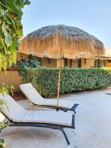 een paar stoelen en een parasol op een patio bij Le Mas de Mougins in Mougins