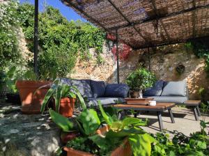 DurónCasa Rural El Botánico的天井配有沙发和植物桌子