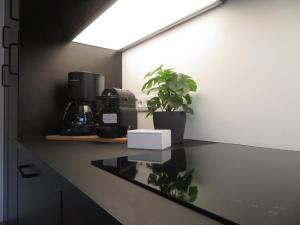 um balcão de cozinha com comodidades para preparar café e uma planta em Chez petit Gust Welkom in La Roche en ardenne em La-Roche-en-Ardenne