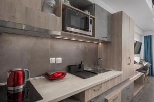 Kuchyň nebo kuchyňský kout v ubytování Dandelion Suites