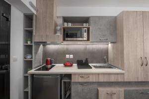 Kuchyň nebo kuchyňský kout v ubytování Dandelion Suites