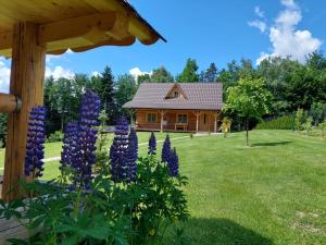 a house with purple flowers in front of a yard at Domek u Heli in Limanowa +16 photos