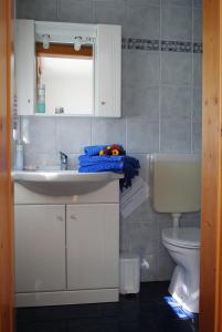 łazienka z umywalką i toaletą w obiekcie Haus Bübl w mieście Presseggersee +14 zdjęć