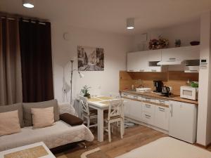 a kitchen and living room with a couch and a table at Green Ravine in Nałęczów