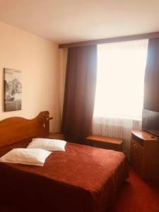 a hotel room with a bed and a window at HOTEL MUNTENIA in Campina