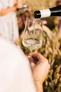 Nápoje v ubytování Weinzuhause Hotel-Restaurant-Vinothek