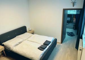Postel nebo postele na pokoji v ubytování Apartmán Horní Mísečky I13