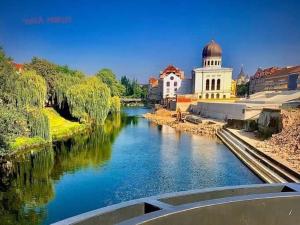 a view of a river with a building in the background at Blue Central House, curte proprie in Oradea