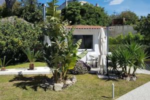 Vonkajšia záhrada v ubytovaní Casa Vacanza M&C Ischia