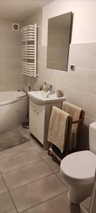 a bathroom with a sink and a toilet and a tub at Apartament w malowniczej Sosnówce in Sosnówka