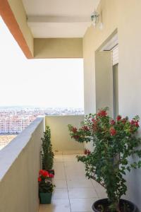 un balcón con 2 plantas y flores rojas en Coin Du Ciel-Vue Imprenable Océan avec piscine en Agadir