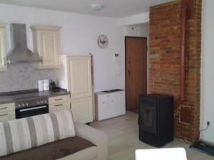 克拉尼斯卡戈拉Izzi apartma的一间带沙发和炉灶的厨房 更多3张照片