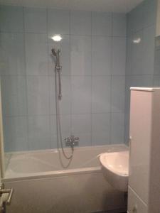 克拉尼斯卡戈拉Izzi apartma的带淋浴、浴缸和水槽的浴室