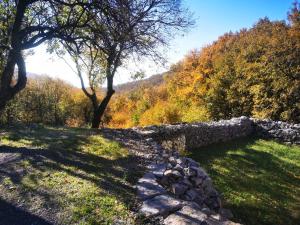 Príroda v okolí dovolenkového domu