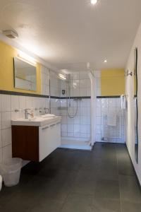 un bagno con lavandino e doccia di Bett am Weiher a Wil