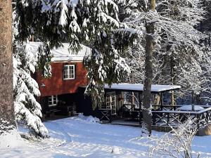Mošķu Pirts meža māja ziemā