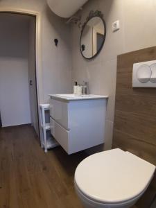 a bathroom with a white toilet and a sink at Ajrin Apartman Kopaonik in Kopaonik +10 photos