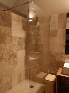 a shower with a glass door in a bathroom at Maison Pérouges spa in Pérouges