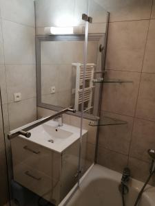 法爾梅尼爾的住宿－APPARTEMENT VALMEINIER 1800 / RESIDENCE L'OURS BLANC，一间带水槽和镜子的浴室